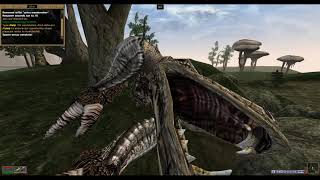 TES3MP Spawn System Script [upl. by Hanover]