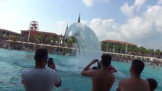 Granada Luxury Belek 5 Turkey Belek Flyboard show Флайборд шоу в бассейне [upl. by Arotahs]