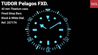 TUDOR Pelagos FXD 42mm Titanium Case Fixed Strap Bars Black amp White Dial Ref 25717N [upl. by Norraj919]