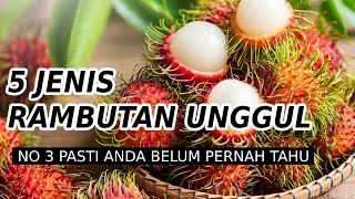 5 Jenis Rambutan Yang Cocok Untuk Di Budidayakan  Bibit Rambutan Unggul Rasa Manis dan Ngelotok [upl. by Aliuqaj]