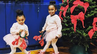 Rudolph the Red Nosed Reindeer Dance Video [upl. by Kristyn]