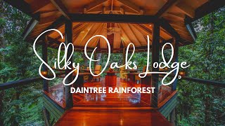 Silky Oaks Lodge Luxury Rainforest Eco Retreat [upl. by Sly]