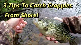 3 Crappie Fishing Tips Guaranteed To Catch Crappies From Shore [upl. by Wadleigh]