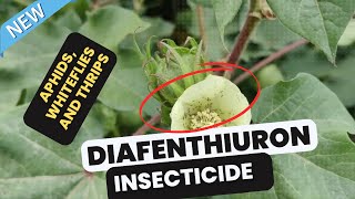 Diafenthiuron insecticide for lepidopteran larvae aphids whiteflies mites and thrips control [upl. by Nodnas674]