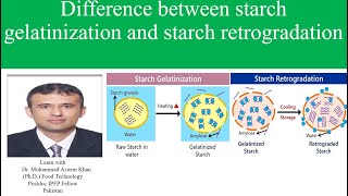 Difference between Starch Gelatinization and starch Retrogradation [upl. by Ardnikat]