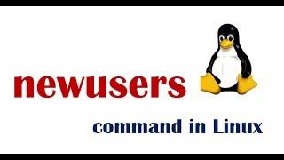 newusers Command in RHEL 6 [upl. by Ardeahp]