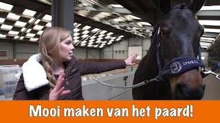 How to Mooi maken van het paard PaardenpraatTV [upl. by Indnahc974]