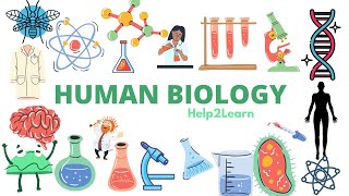 Human Biology Cofactors and Coenzymes [upl. by Athal377]