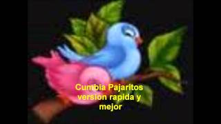 CUMBIA PAJARITOS VERSION RAPIDA Y MEJOR [upl. by Chretien57]