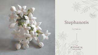 Gumpaste Stephanotis Sugar Flower tutorial [upl. by Chloe]