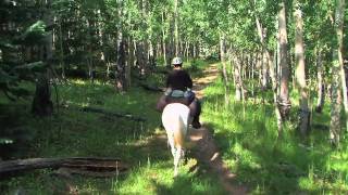 Colorado Trail Segment 4 [upl. by Quintina]