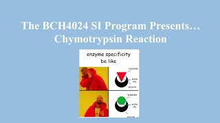 Chymotrypsin mechanism [upl. by Aninaig]