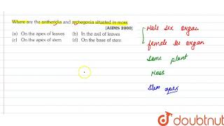 Where are the antheridia and archegonia situated in moss [upl. by Neall]