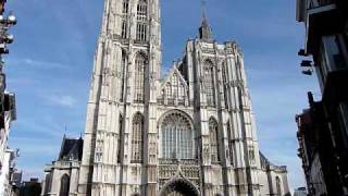 kathedraal Antwerpen [upl. by Yanaj]