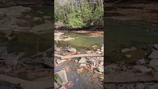 This guy got the best spot for fishing today fishing steelhead hike nature fallcolors [upl. by Nnaeoj683]