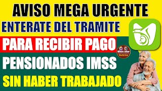 📌🎯AVISO URGENTE🔔Este es el supuesto tramite para recibir pago de pensión IMSS sin haber trabajado [upl. by Esinehs]