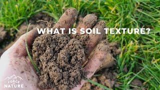 What is soil texture [upl. by Euginomod]