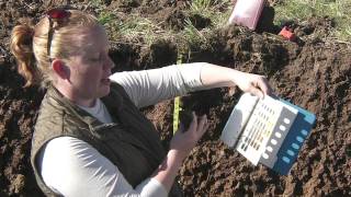 Soil Profiling Color [upl. by Llertal]