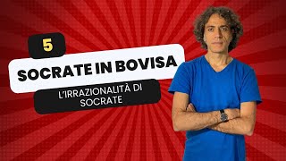 Filosofia di strada – Socrate Pillola 5 [upl. by Curt]