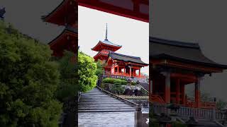 This is the Kiyomizu dera in Kyoto japan travel japantravel kyoto [upl. by Humberto]