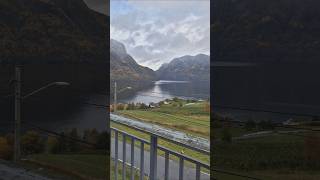 The best morning view fjords norway shorts mountainview travel [upl. by Airetak]