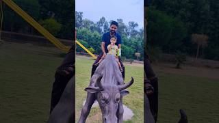 Anaya ko horse 🐴 Riding karni hai 😆 trending shorts viralvideo youtubeshorts [upl. by Ipoillak]