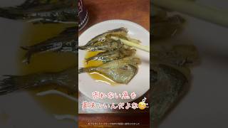 漁師が作る売れない魚の煮物 [upl. by Hsirap]