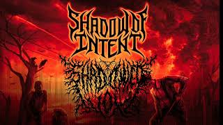 Shadow of intentLife of exile vocal cover vocalcover deathmetal [upl. by Otinauj551]