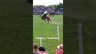 Néstor Galeano en El Talar jineteadadecaballos [upl. by Nerta]