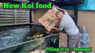 Koi Diary 158  New Koi food and a feeding disaster [upl. by Aitercal]