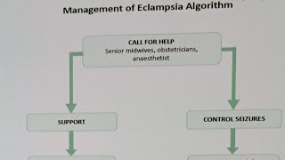 Eclampsia Algorithm mangement  and  International patient safety goals [upl. by Vasquez]