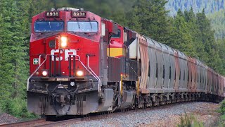 Totally RARE CP potash train with double Union Pacific units in middle at Castle mountain [upl. by Reginnej]