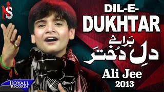 Ali Jee  Dil e Dukhtar  2013  علی جی شگفت انگیز بچه پاکستان [upl. by Sitruk]