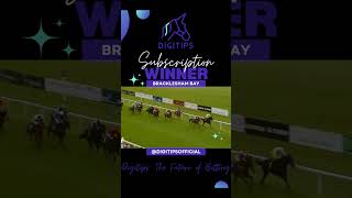 🏆 BRACKLESHAM BAY 🏆 WINNER  228 Odds of 🏇 Horse Racing 💰 BettingStrategy Shorts [upl. by Juline]