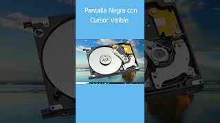 Pantalla negra con cursor visible [upl. by Aurore299]