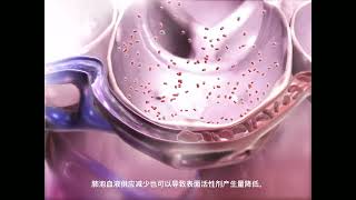 肺栓塞② 三维立体动画演示 人体解剖学 Pulmonary embolism ② 3D animation demonstration humananatomy [upl. by Coralie]