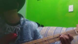 Bruses  Dueles Tan Bien bass cover [upl. by Htebasyle]