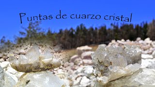 Extracción de PUNTAS DE CUARZO CRISTAL conocidas también como cuarzos maestros [upl. by Conah]