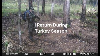 Game Cameras At My Turkey Hunting Area Green Swamp [upl. by Kalindi911]