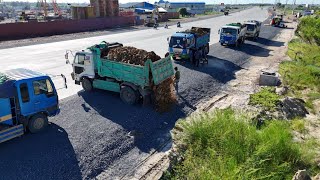 First Just Opening Started New Project Use Truck 5Ton FillingLandPerfect D04A Pushing Soilamp Stone [upl. by Snehpets494]