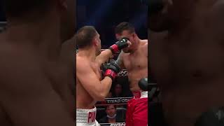 Kubrat Pulev destroyed Frank Mir Knocks him out on his feet TrillerVerz5 May 14 👊 [upl. by Enilehcim]