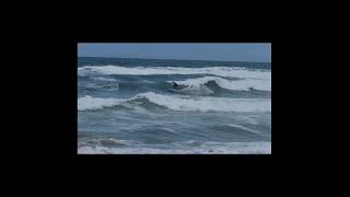 Surf Biarritz playa surf Biarritz beach surfing surflife surfers france surfspot [upl. by Coulter]