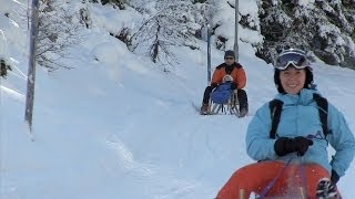 Schlittenfahren in Tirol Winterurlaub im Skigebiet Tirol ⛷ [upl. by Ecneralc]