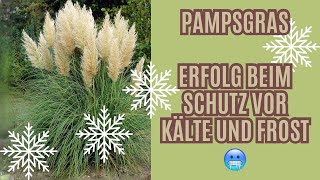 Pampasgras Winterschutz  Tipps zum Pampasgras Winterschutz [upl. by Udela]