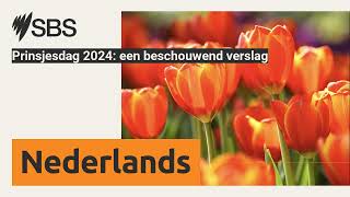 Prinsjesdag 2024 een beschouwend verslag  SBS Dutch  SBS Nederlands [upl. by Urson]