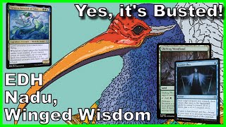 Nadu Winged Wisdom EDH Deck Tech  Magic the Gathering [upl. by Eendyc]