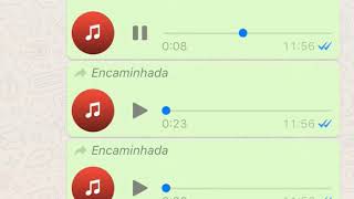 Que diabo de música é essa ai  Áudios engraçados do Whatsapp [upl. by Orten]