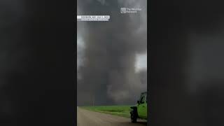 Large EF4 tornado touches down in central Alberta  shorts tornado canada [upl. by Eduino]