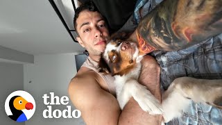 Guy Gets A Dog After A Breakup And  The Dodo [upl. by Lilla710]