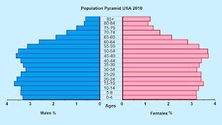 How to make a Population Pyramid [upl. by Hagood864]